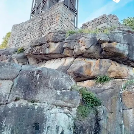 Lägenhet Mit Tollem Kamin - Hunde Willkommen Falkenstein (Upper Palatinate)